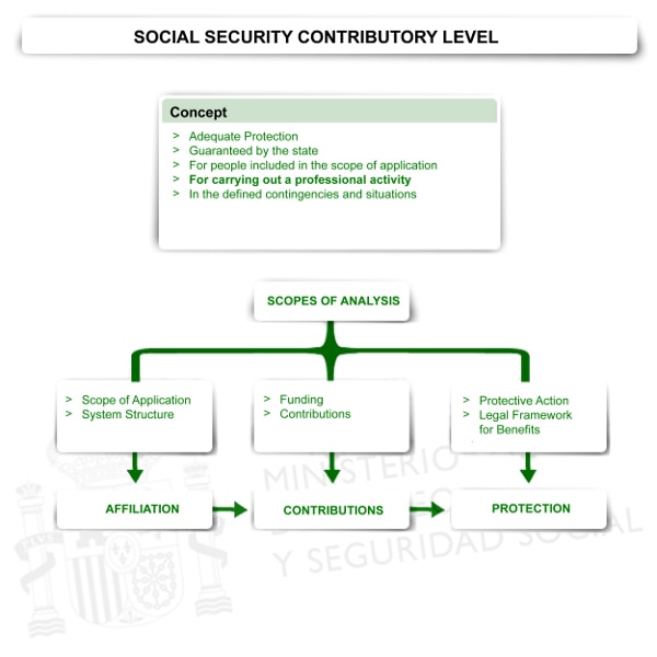 Professional or Contributory Level 