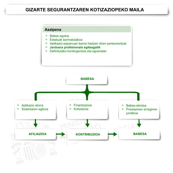 Kontribuziopeko maila edo profesionala 