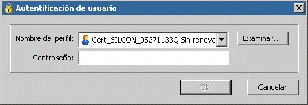 Ventana para la autentificación del usuario. Una vez  seleccionando el archivo del certificado SILCON se ha de introducir la contraseña.