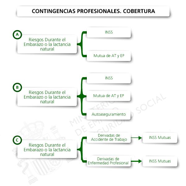 Secretaria de Estado de la Seguridad Social