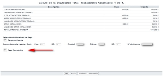 Imagen del Servicio de Confección de Liquidaciones en la que se selecciona el modo de pago de Pago Electrónico