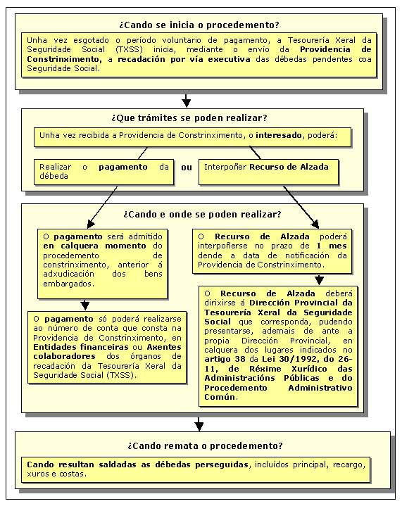 Procedemento de Recadación en vía executiva