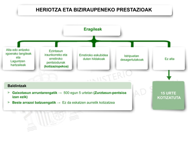 Heriotza eta Biziraupeneko prestazioak