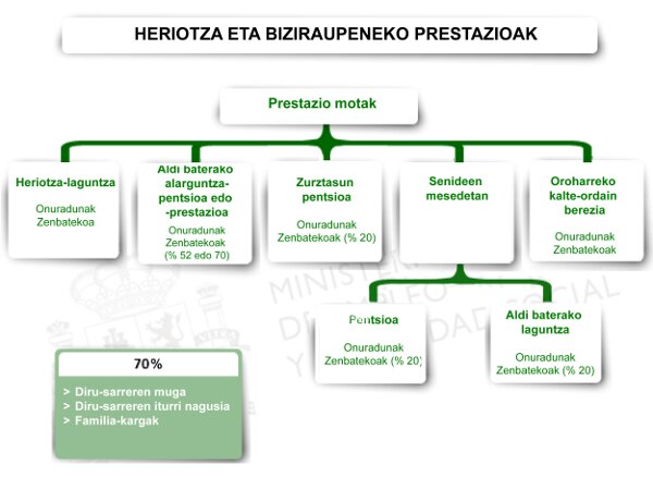 Heriotza eta Biziraupeneko prestazioak. Prestazioak