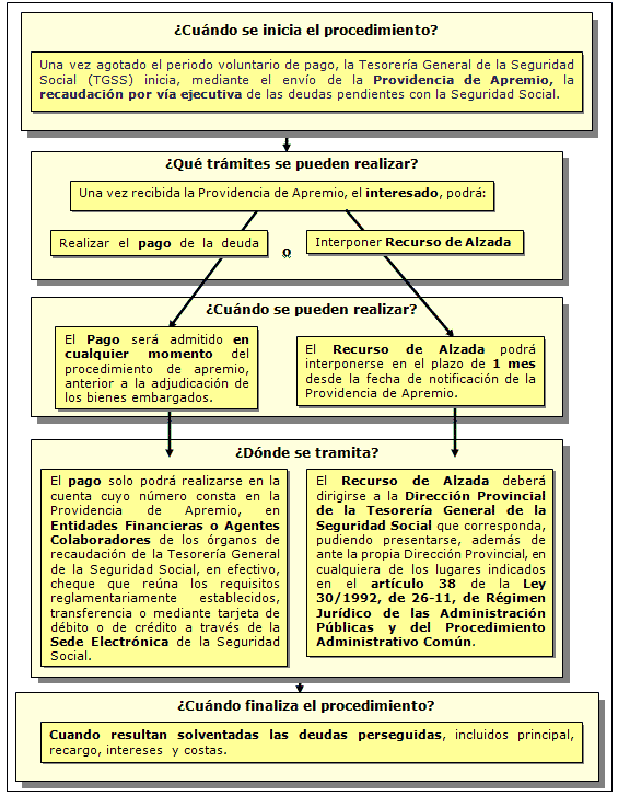 Procedimiento de Recaudación en vía ejecutiva