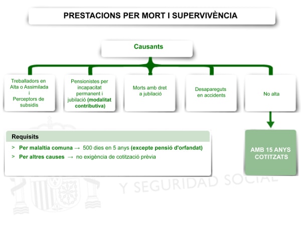 Prestacions de mort i supervivència