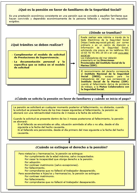 Seguridad Social Informacion Util
