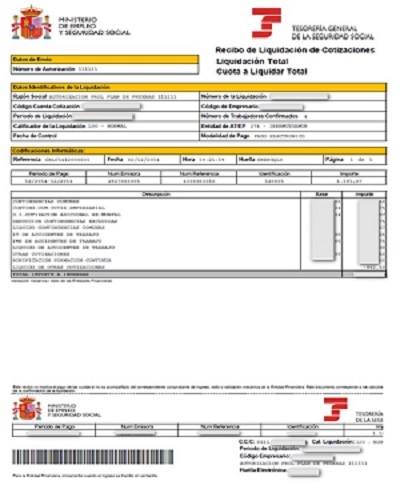 Ejemplo de Recibo de Liquidación de Cotizaciones de Pago Electrónico