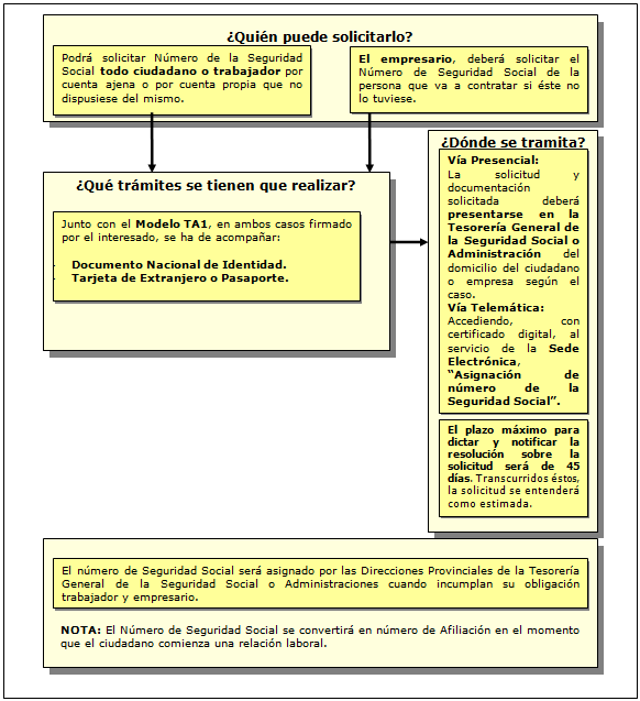 Procedimiento de obtención del número de la Seguridad Social / Afiliación