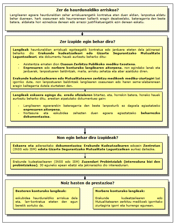Haurdunaldiko Arriskuagatik prestazioa