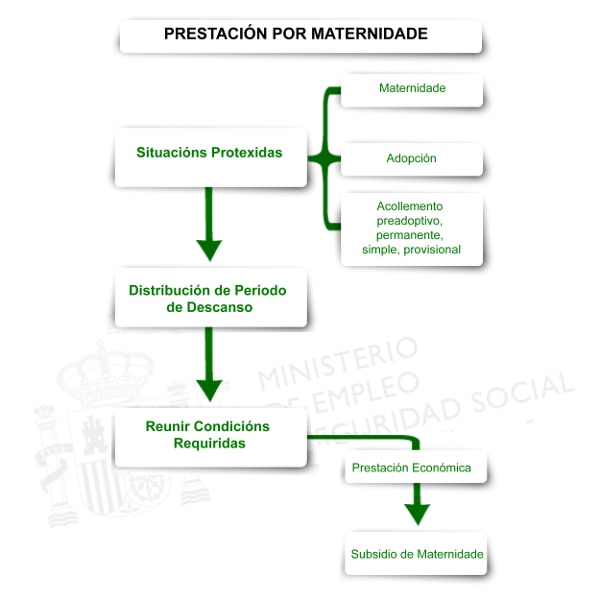 Maternidade